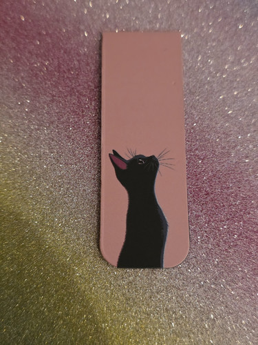 Katze kater schwarz - kater, --