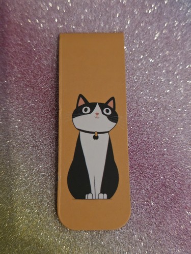 Katze kater schwarz weiß - katze, --schwarz/weiß