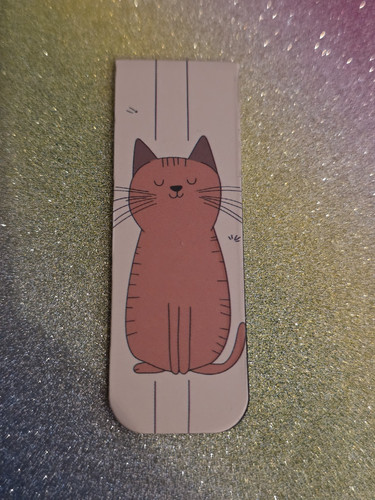 Katze kater - kater, --