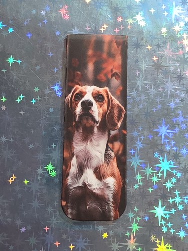 Beagle magnetisches - beagle, --